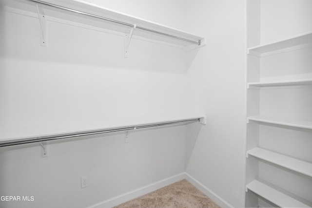 walk in closet with light carpet