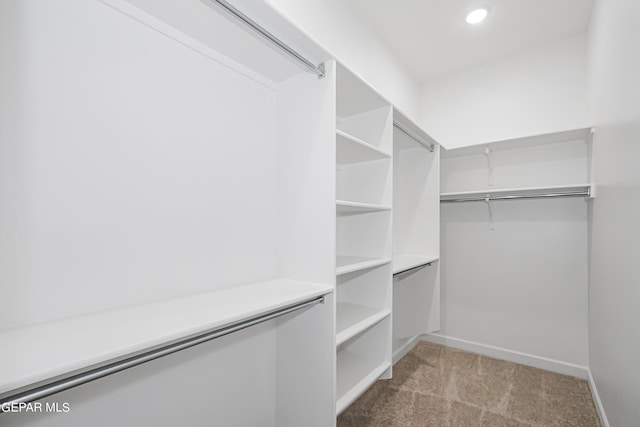 walk in closet featuring light colored carpet