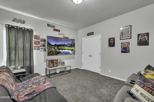 carpeted living room with a textured ceiling