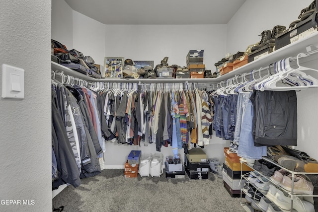 walk in closet featuring carpet