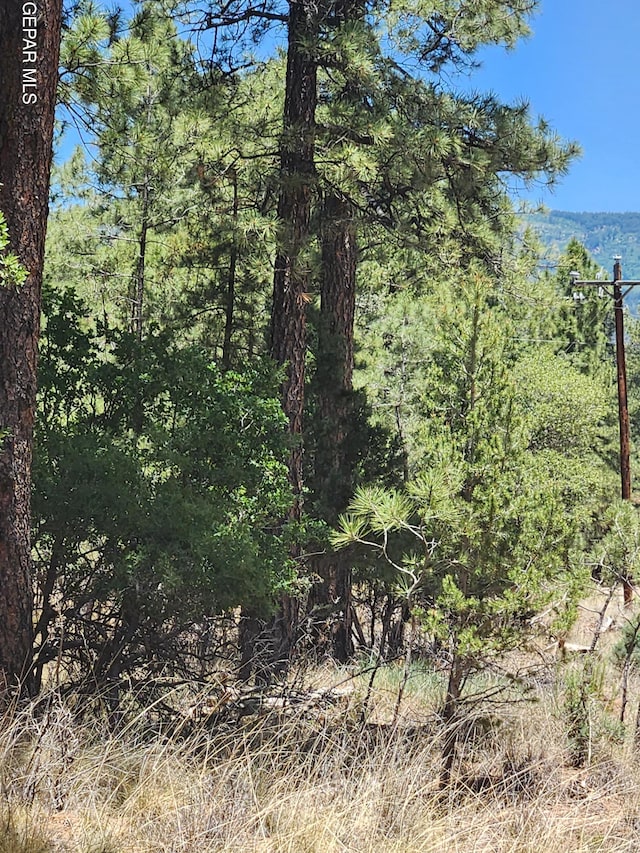 17 Chisholm Trl, Alto NM, 88312 land for sale