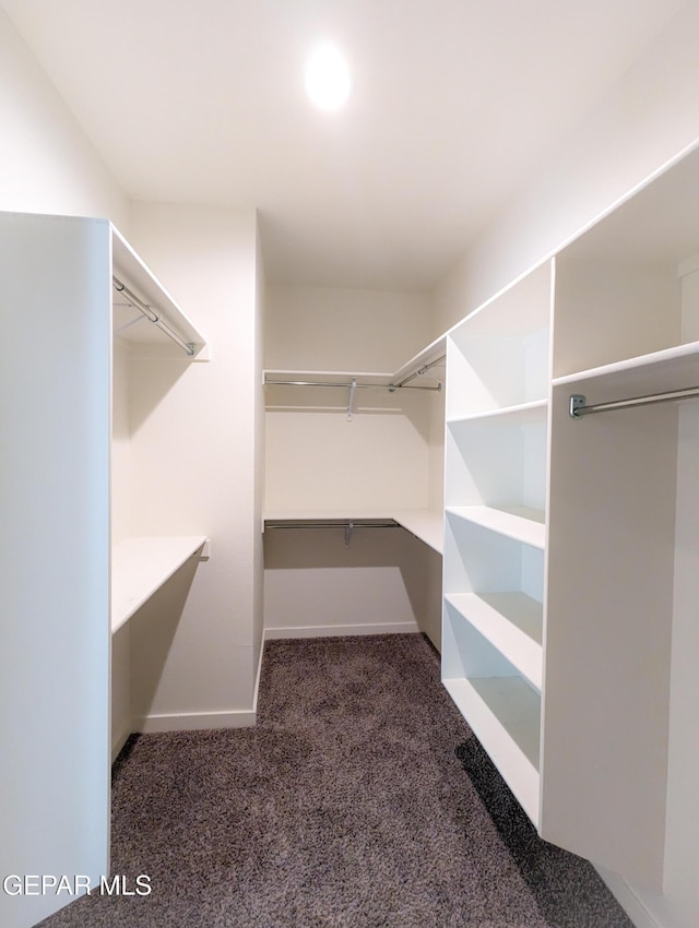 spacious closet with dark colored carpet