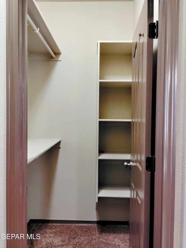 walk in closet featuring carpet floors