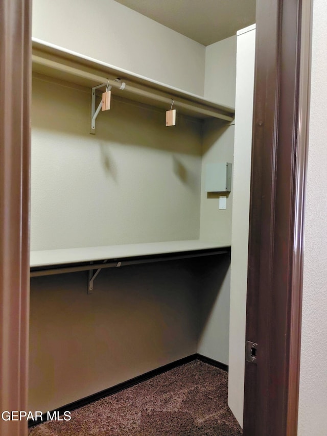 spacious closet featuring dark colored carpet
