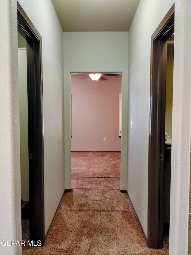 hallway with carpet floors