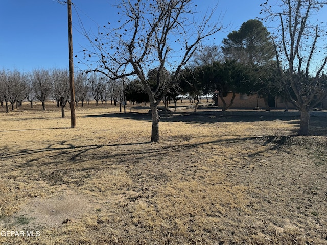 view of yard featuring a rural view