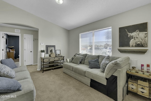 carpeted living room featuring a textured ceiling