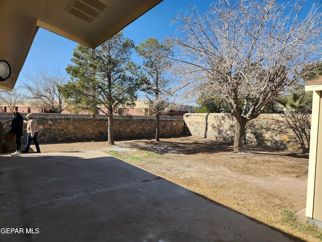 view of yard featuring a patio area