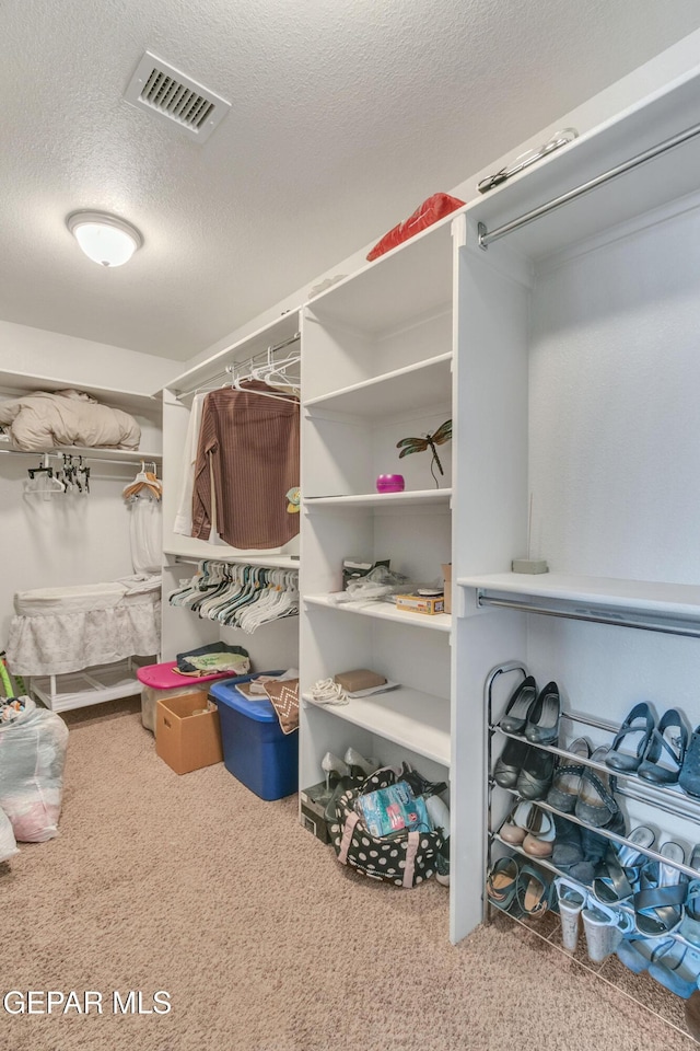 spacious closet featuring carpet flooring