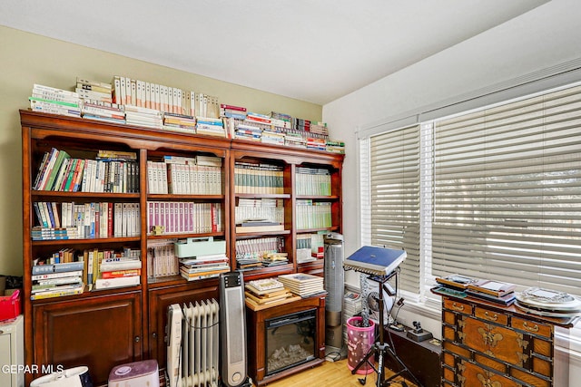 misc room featuring radiator and light hardwood / wood-style floors