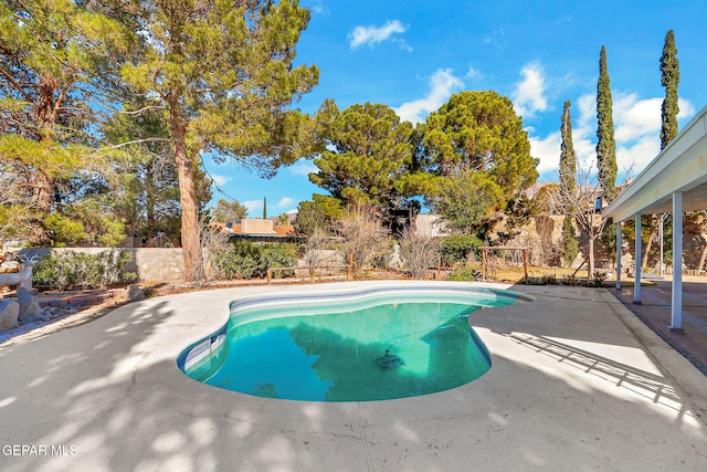 view of pool featuring a patio area