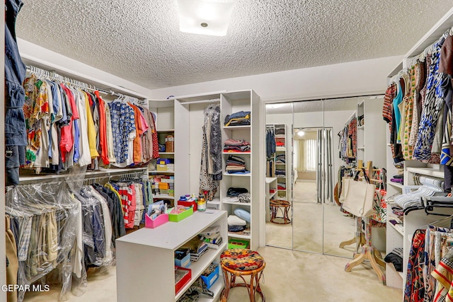 spacious closet with carpet floors