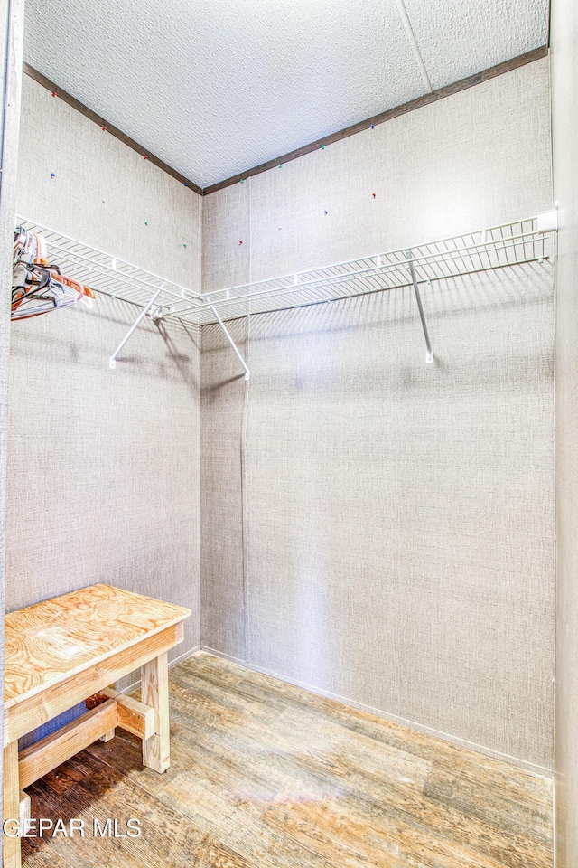 walk in closet featuring hardwood / wood-style floors