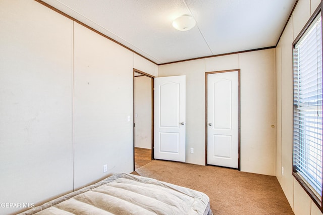 unfurnished bedroom with crown molding and light colored carpet