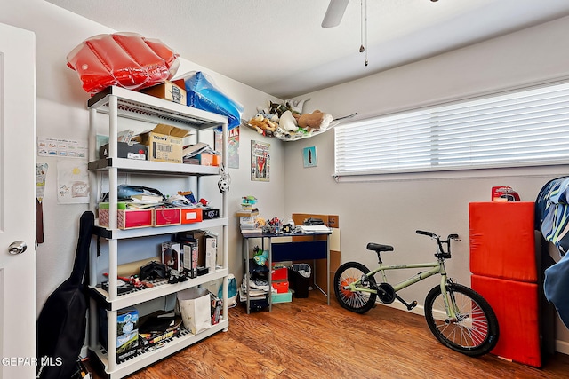 storage room with ceiling fan