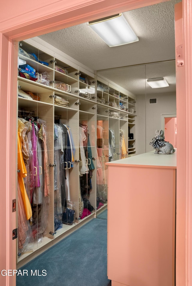 spacious closet with carpet floors and visible vents