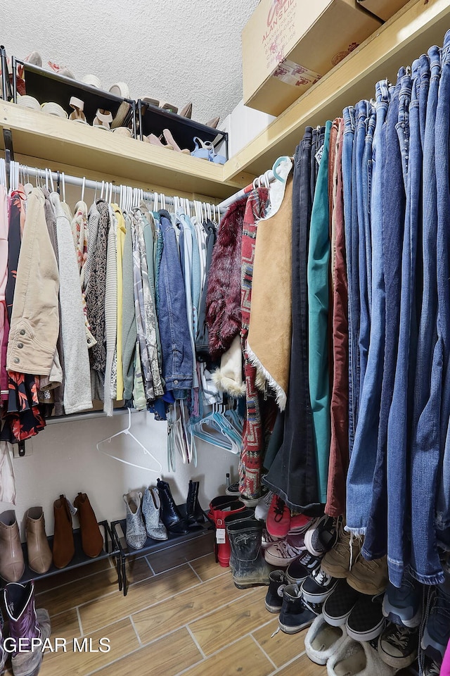 view of spacious closet