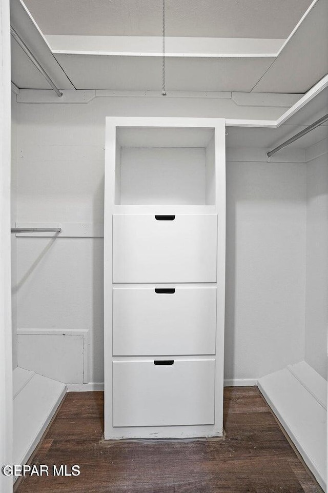 spacious closet featuring dark wood-type flooring