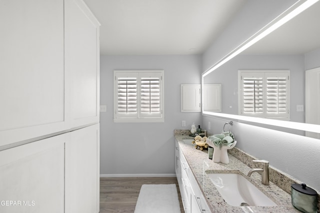 bathroom with wood-type flooring, plenty of natural light, and vanity