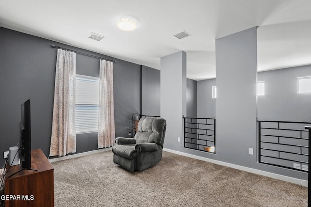 sitting room with carpet floors