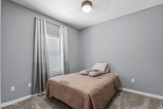 bedroom featuring carpet