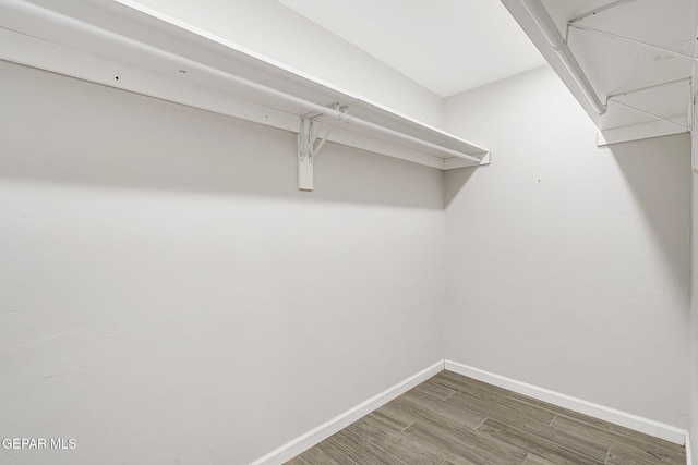 walk in closet featuring dark hardwood / wood-style floors