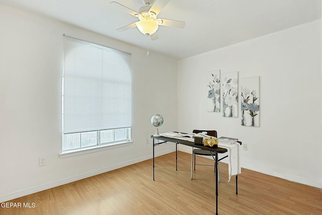 office featuring light hardwood / wood-style floors and ceiling fan