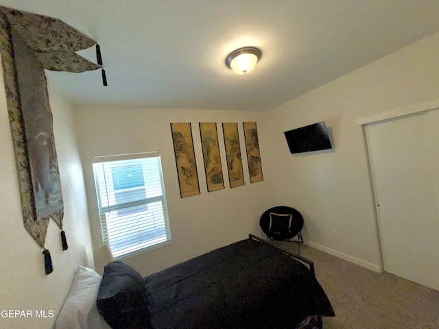 bedroom featuring carpet floors