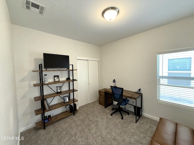 carpeted office space with a wealth of natural light