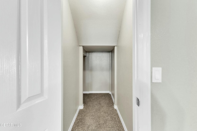 spacious closet with light carpet