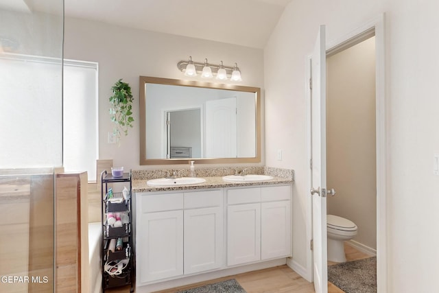 bathroom with vanity, hardwood / wood-style floors, and toilet