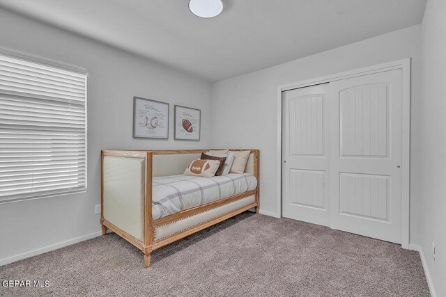 bedroom with a closet and carpet