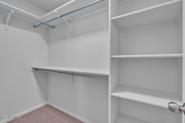 walk in closet with carpet flooring