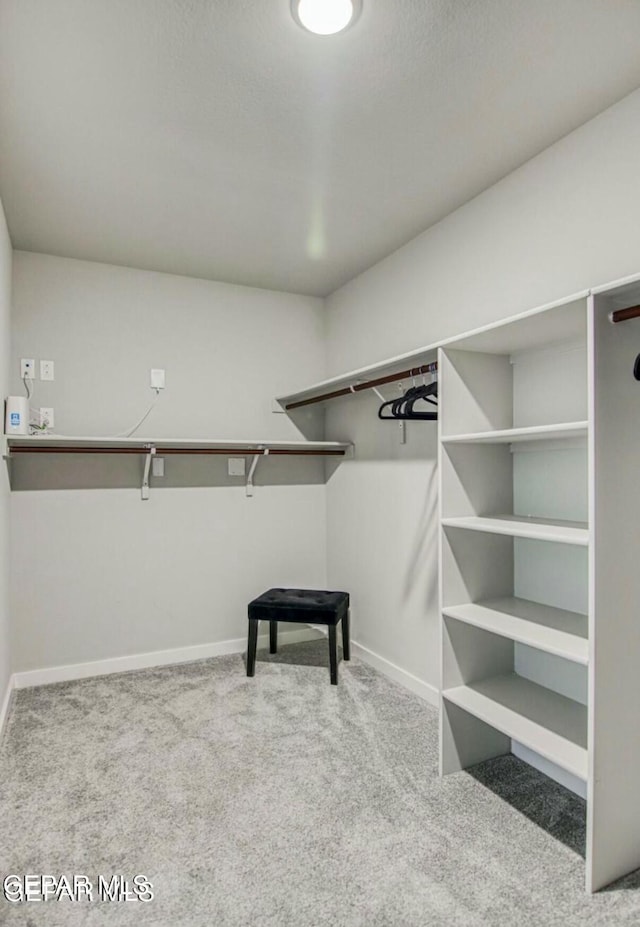 spacious closet with light colored carpet