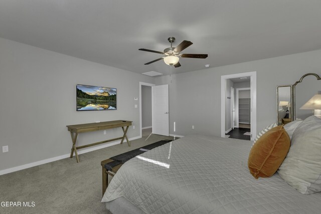 bedroom with ceiling fan, a spacious closet, and carpet