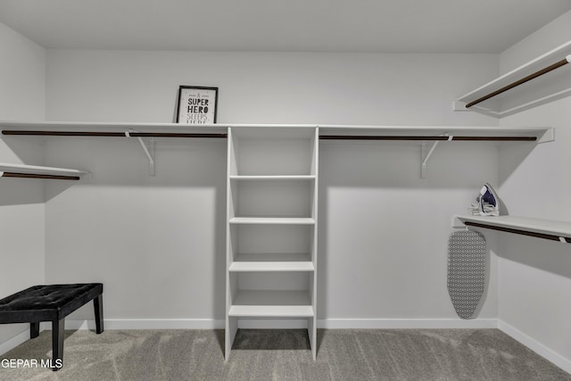 walk in closet with light colored carpet