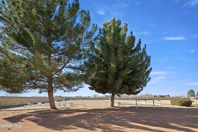 view of yard with a rural view