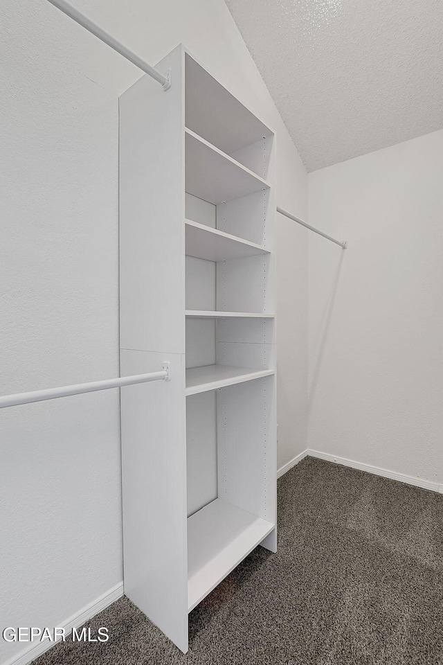 walk in closet featuring dark colored carpet