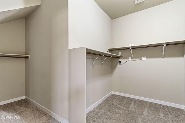 spacious closet with carpet