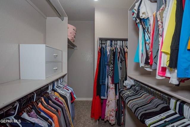 spacious closet featuring carpet