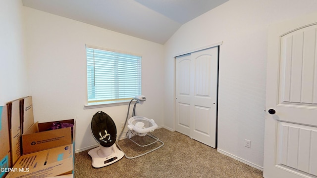 miscellaneous room featuring lofted ceiling and light carpet