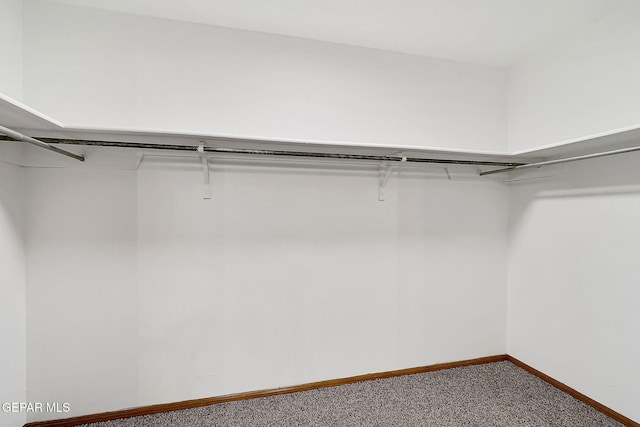 spacious closet with carpet flooring