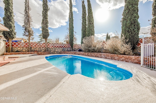 view of swimming pool featuring a patio