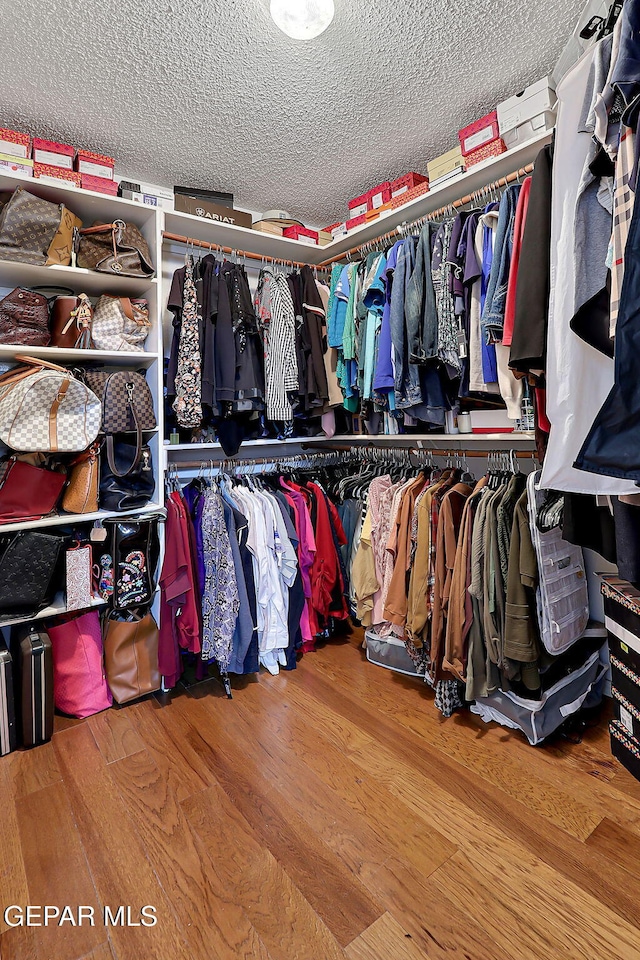 walk in closet with hardwood / wood-style flooring