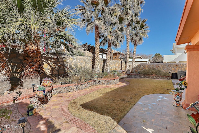 view of yard with a patio