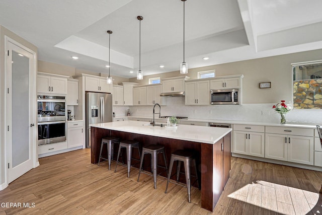 kitchen with under cabinet range hood, light wood-style flooring, stainless steel appliances, and a sink