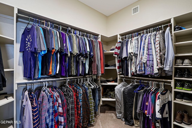 spacious closet with carpet flooring and visible vents