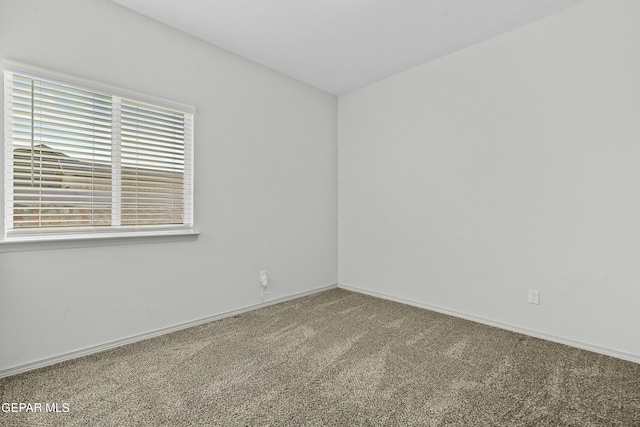 unfurnished room with carpet flooring and a wealth of natural light