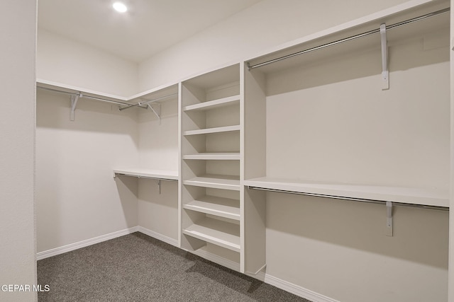 spacious closet featuring dark colored carpet