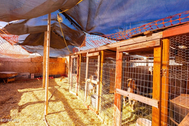 view of horse barn